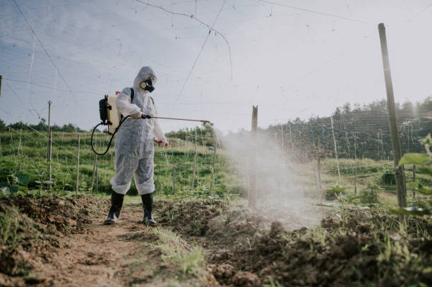 Best Local Pest Control Services  in Payette, ID