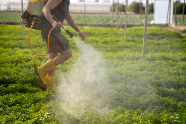 Reliable Payette, ID Pest Control Solutions