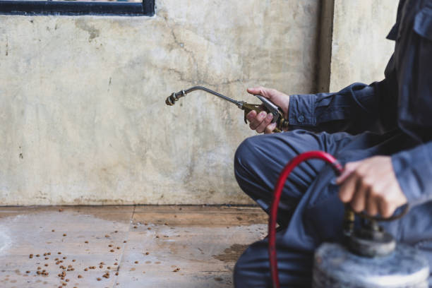 Best Pest Control for Businesses  in Payette, ID